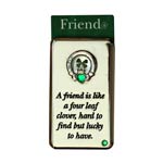Lucky Irish fridge magnet � A friend is like...