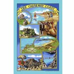 Causeway Coast Tea towel