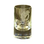 Ireland Shot Glass