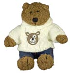 Teddy Bear with Teddy Sweater