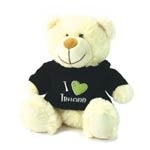 I Love Ireland Bear