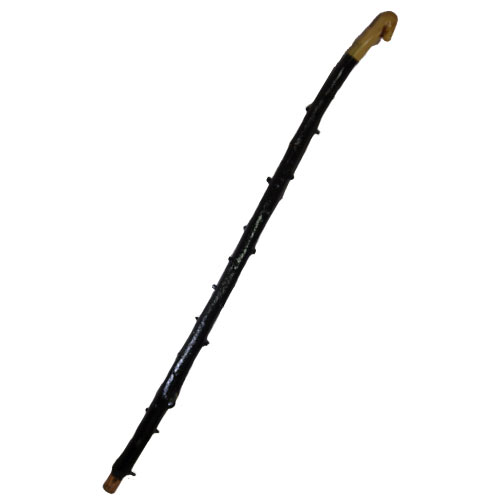 Irish Blackthorn wood Walking Stick (image for) Irish Blackthorn wood Walking Stick