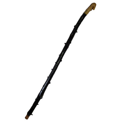 Irish Blackthorn wood Walking Stick